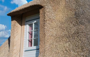 Rescorla thatch roof disadvantages